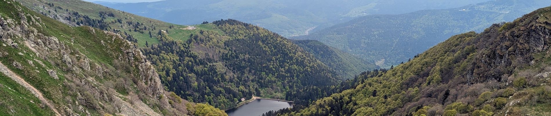 Trail Walking Metzeral - 2023-05-20 Marche Lac Fischboedle vers Firstmiss - Photo