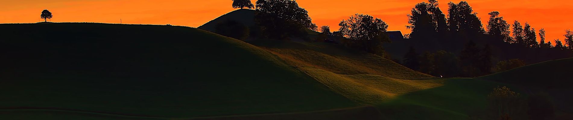 Tocht Te voet Wädenswil - Schönenberg - Neumühli - Photo