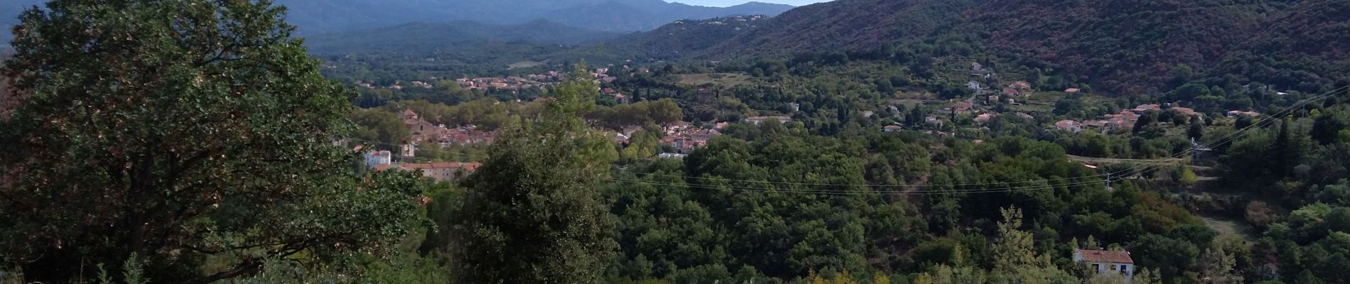 Randonnée Marche Céret - le ventous ceret - Photo