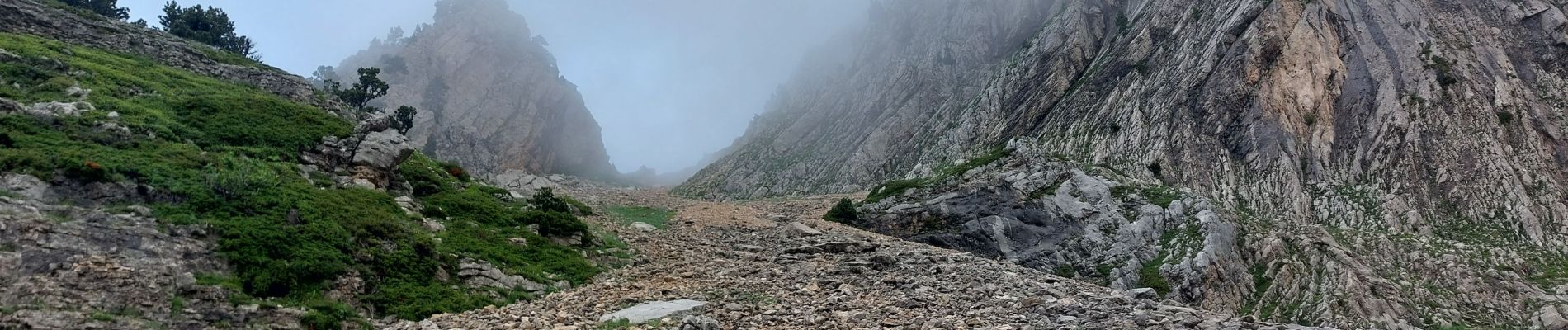 Percorso Marcia Saint-Agnan-en-Vercors - directissime Veymont - Photo