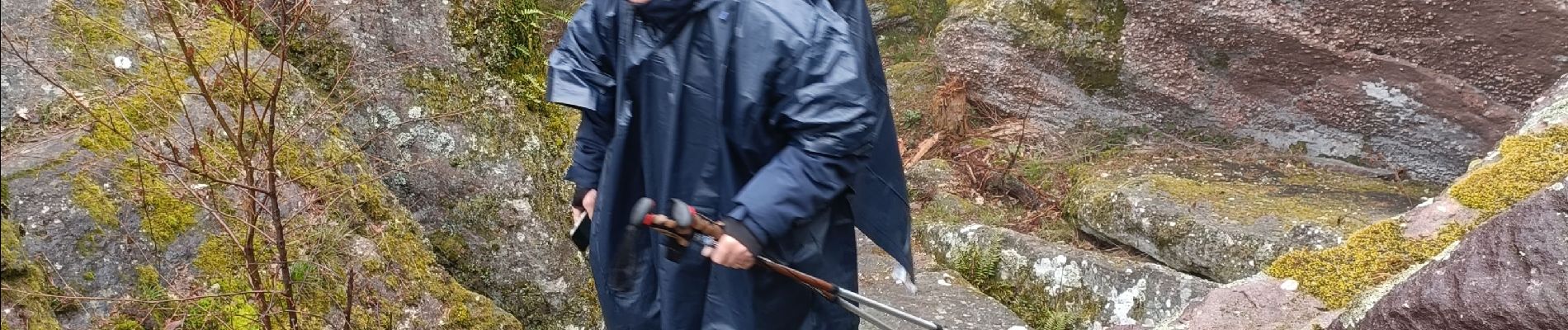 Randonnée Marche Aubure - Aubure rocher du tétras  - Photo