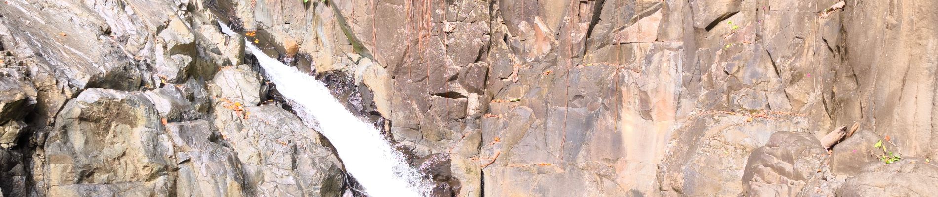 Excursión Senderismo Pointe-Noire - Guadeloupe - Saut de l'Acomat - Photo