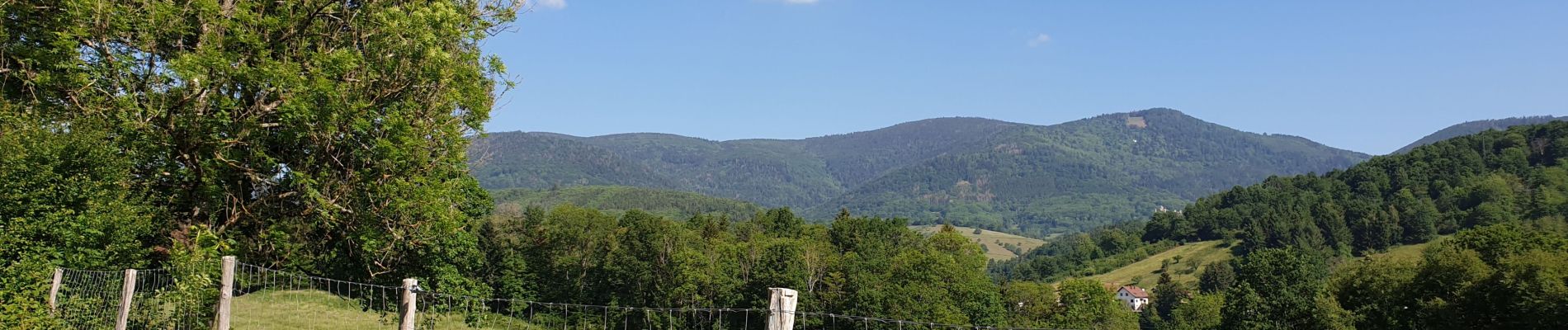 Randonnée Marche Villé - Le massif de la Honel - Photo