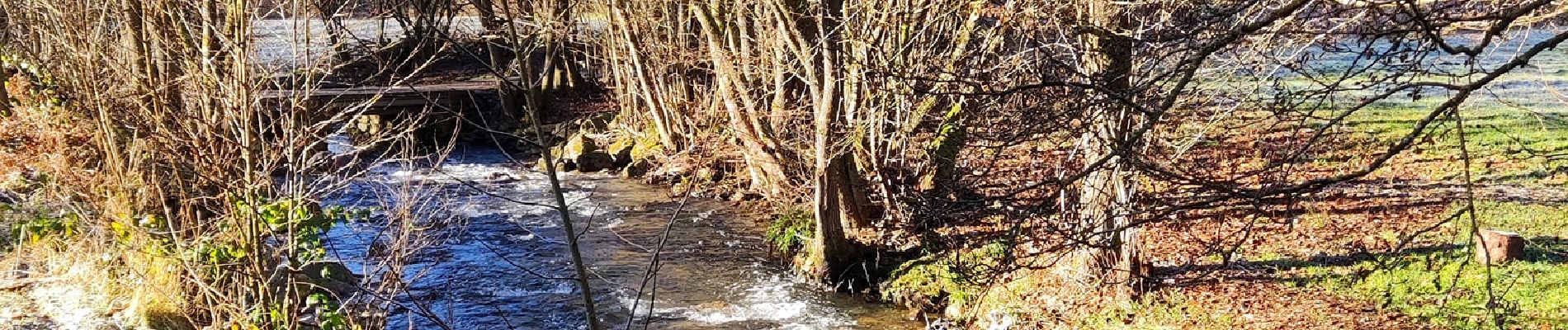 Tour Wandern Stoumont - Promenade au départ de Moulin du Ruy  - Photo