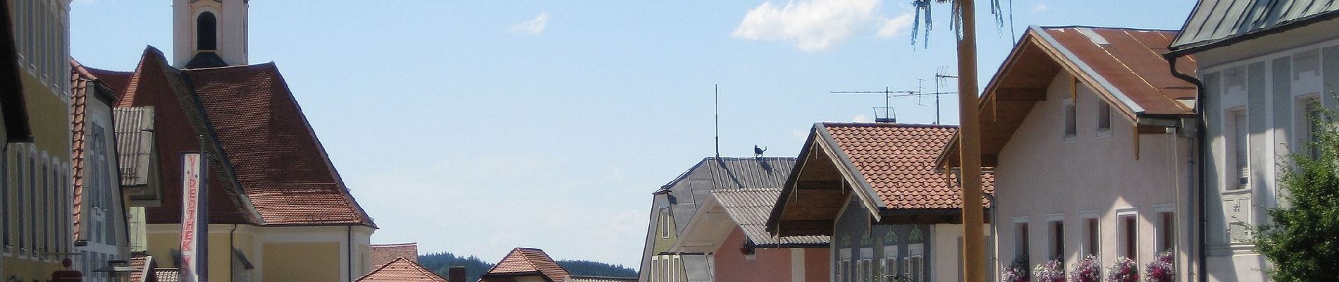 Tour Zu Fuß Obernzell - Zeller Donausteigrunde - Photo