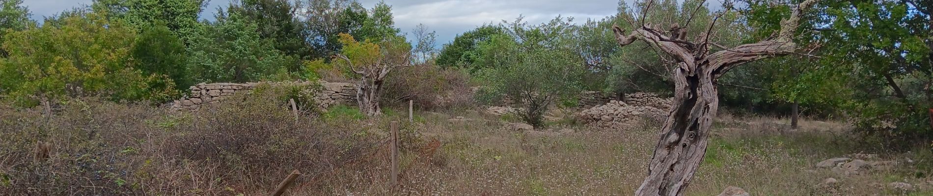 Randonnée Marche Saint-Paul-le-Jeune - randonnee des combes blancs - Photo