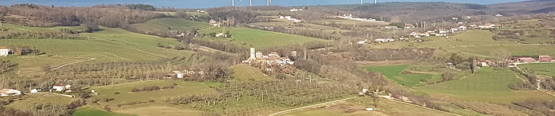 Tocht Stappen Montmiral - Tour de Montmiral  - Photo