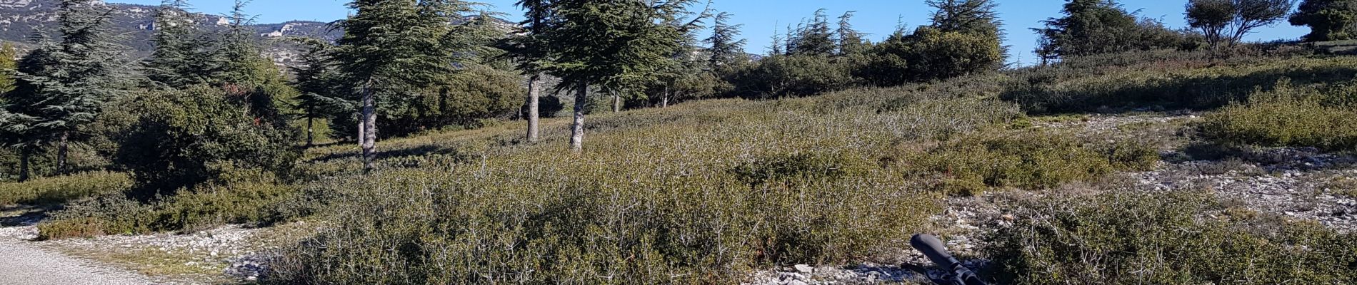 Tocht Elektrische fiets Mallemort - 13 Crêtes du Luberon - Photo