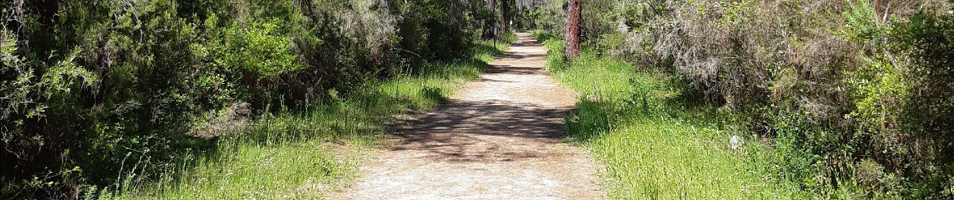 Excursión Senderismo Ghisonaccia - forêt de pinia, étang,mer - Photo