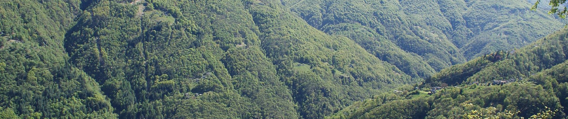 Tour Zu Fuß Centovalli - Sentiero Monte di Comino - Photo