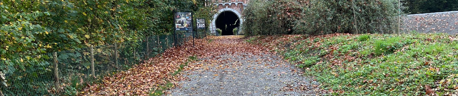 Tocht Stappen Dalhem - Dalhem et alentours  - Photo