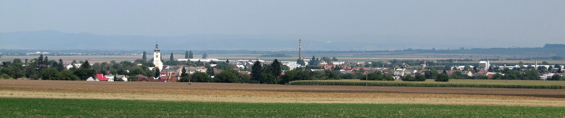 Excursión A pie Senice na Hané - NS Elišky z Kunštátu - Photo