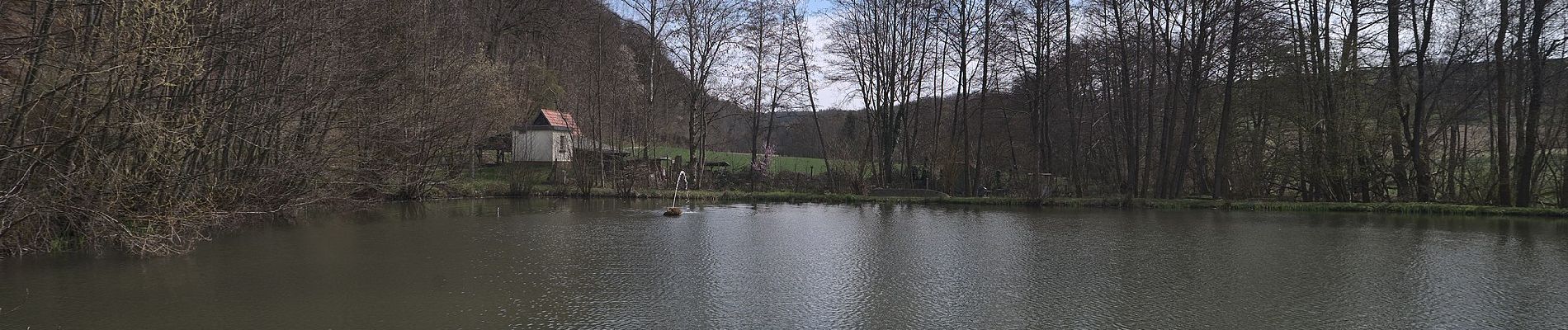 Randonnée A pied Blieskastel - Vogel-Rundwanderweg Webenheim/Mimbach? - Photo