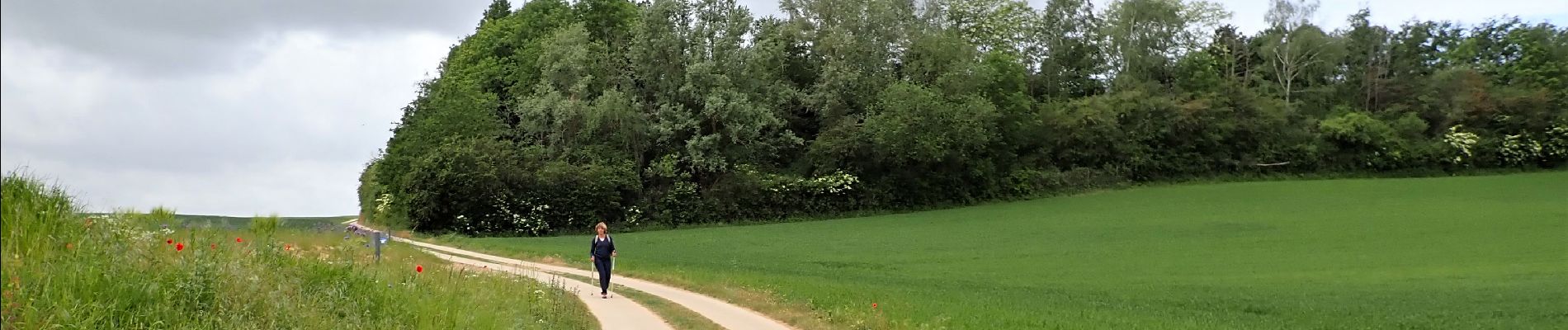 Point d'intérêt Genappe - Vue ouest dans la Rue du Presbytère - Photo