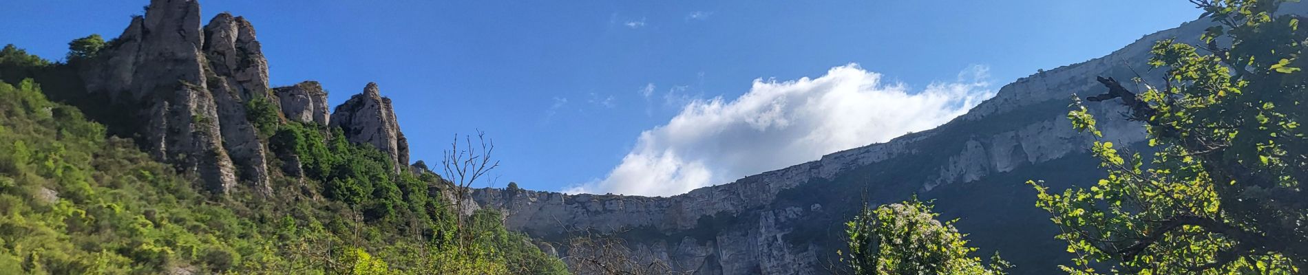 Excursión Senderismo Tournemire - Tournemire - Cirque de Brias et sentier des échelles depuis Roquefort - Photo