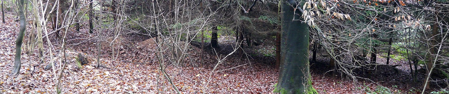 Tour Zu Fuß Gampern - Dellacher Waldrunde - Photo