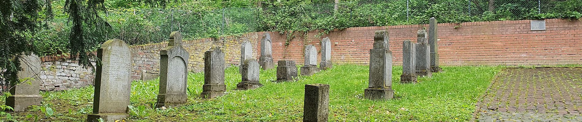 Tour Zu Fuß Herzogenrath - Rundweg A3 - Durch die Morsbacher Heide - Photo