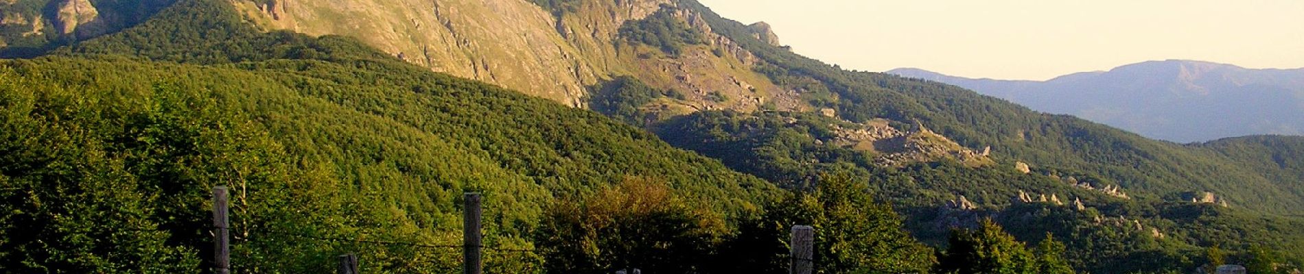 Randonnée A pied Santo Stefano d'Aveto - Santo Stefano d'Aveto - Passo Bocco - Passo Crociglia - Photo