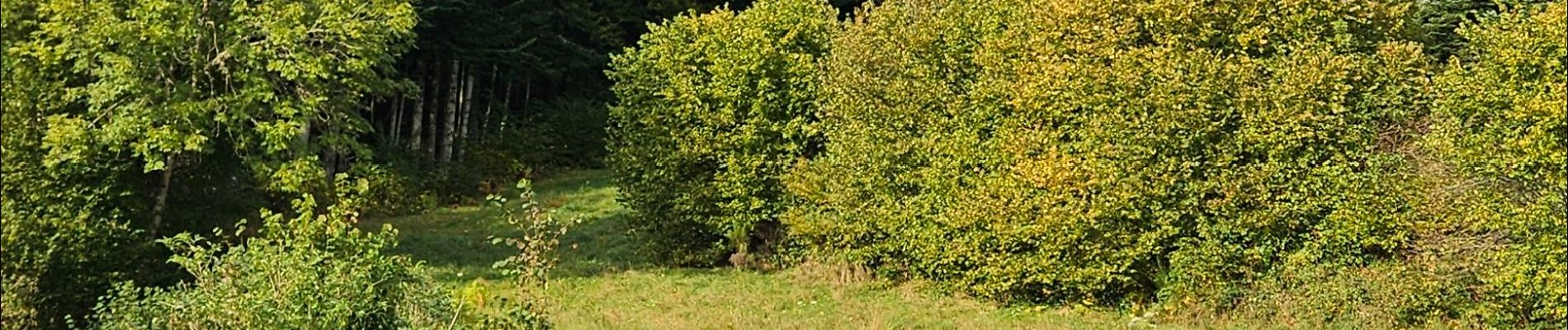 Excursión Marcha nórdica Sauvessanges - sauvessange à la croix maison penché  - Photo