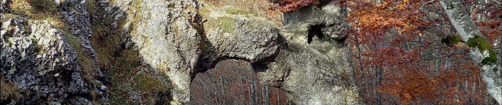 Randonnée Marche Omblèze - Pas de la Sausse et combleroufle - Photo