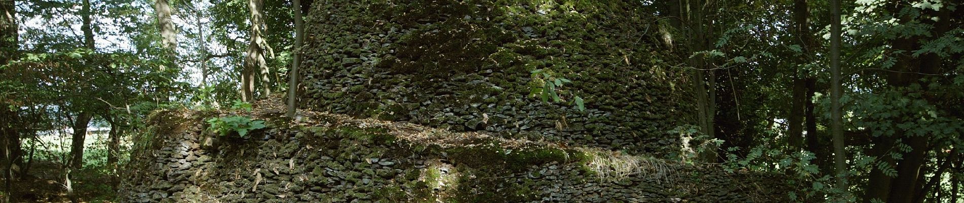 Percorso A piedi Bekkevoort - Mierenbergwandeling - Photo