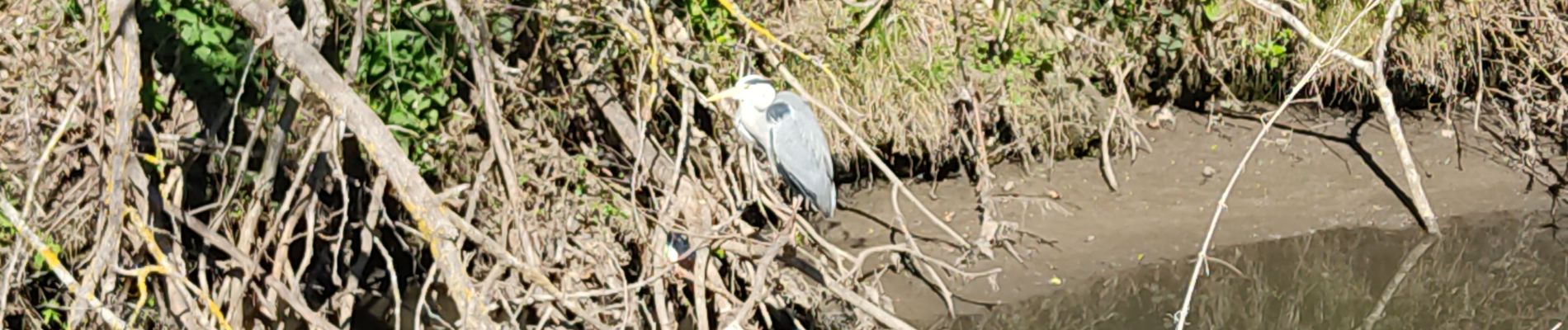 Randonnée Marche Bures-sur-Yvette - bures - Photo