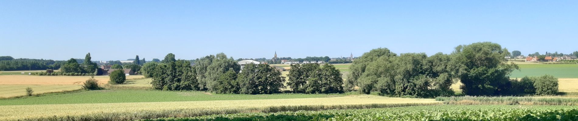 Randonnée Marche Zwevegem - Zwevegem et les rives de l'Escaut - Photo