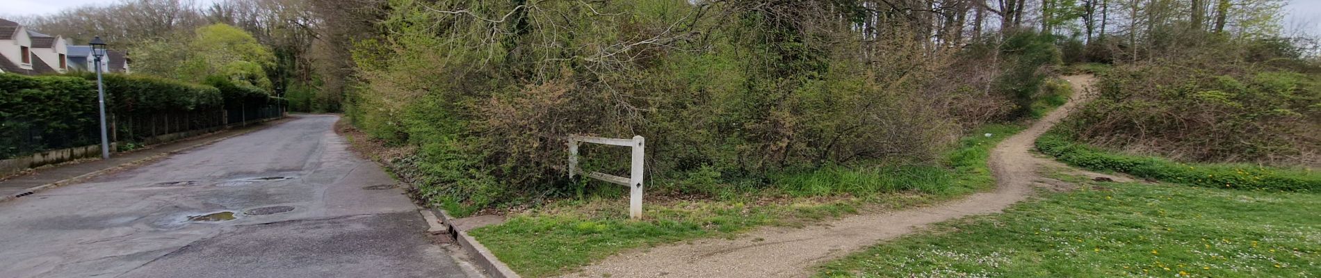 Percorso Marcia Saint-Arnoult-en-Yvelines - Yvelines_Saint-Arnoult=>BoisDeRochefort=>Rochefort - Photo