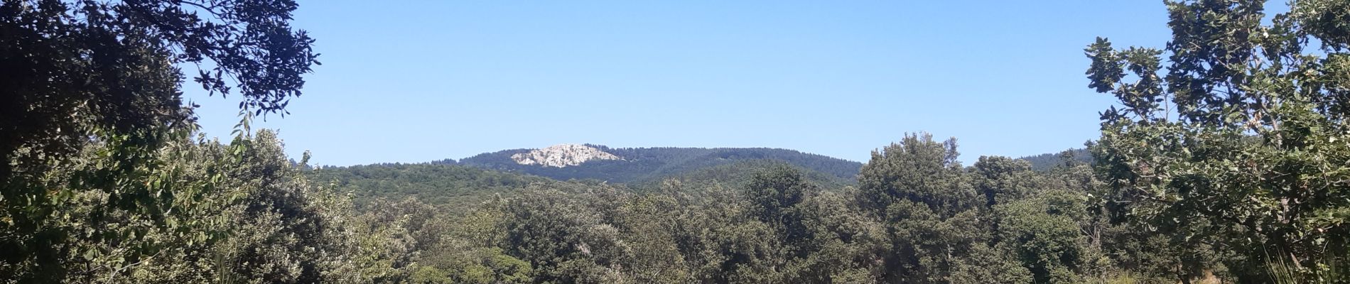 Tocht Stappen L'Albère - mas Reste . crêtes espagnoles . col Forcat . St Martin l Albere . mas Reste  - Photo