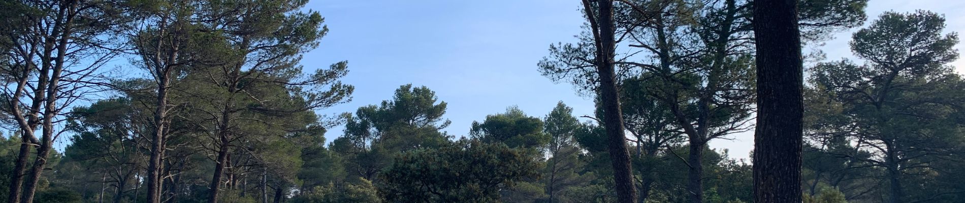 Randonnée Marche Aix-en-Provence - Prés d'Aix, les barrages de Bimont et Zola - Photo