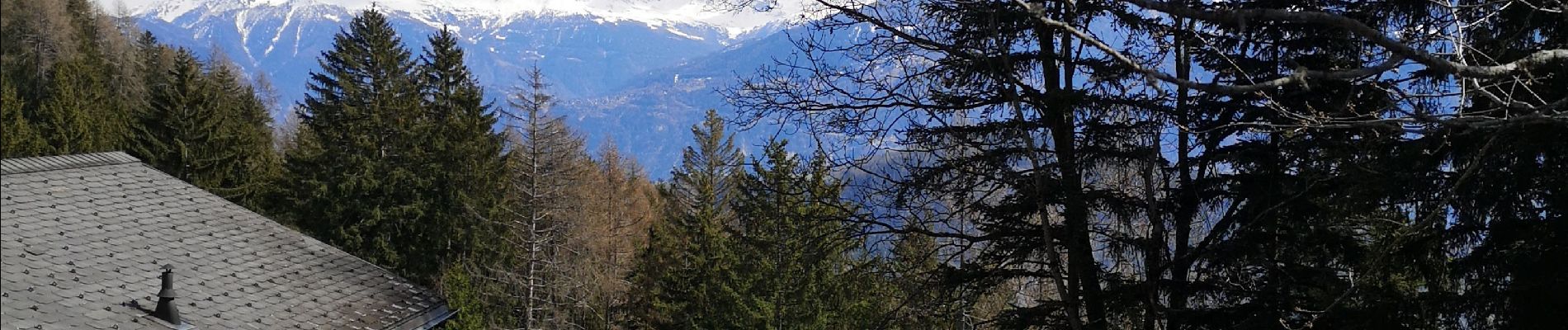 Trail Walking Arbaz - bisse d'Ayen  - Photo