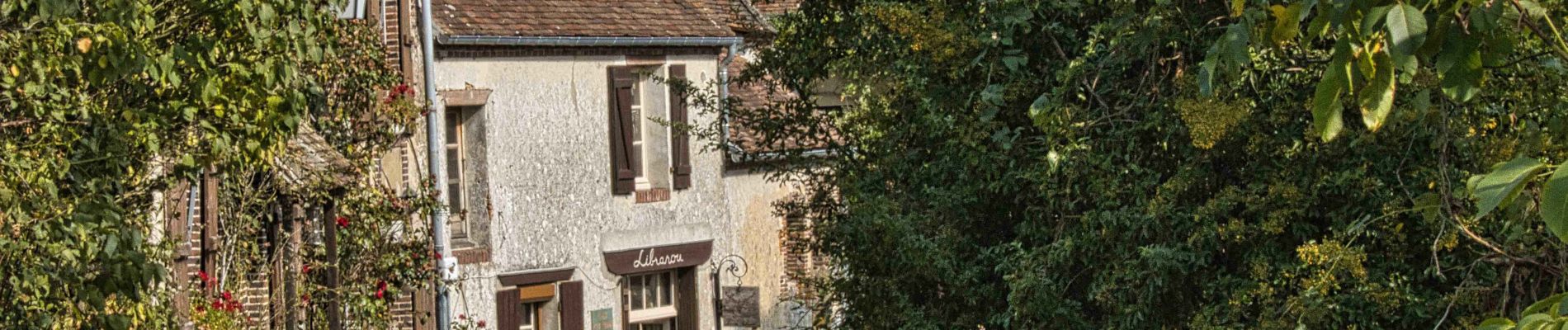 Randonnée Marche Moutiers-au-Perche - Le Mont Harou 3.8 Km - Photo