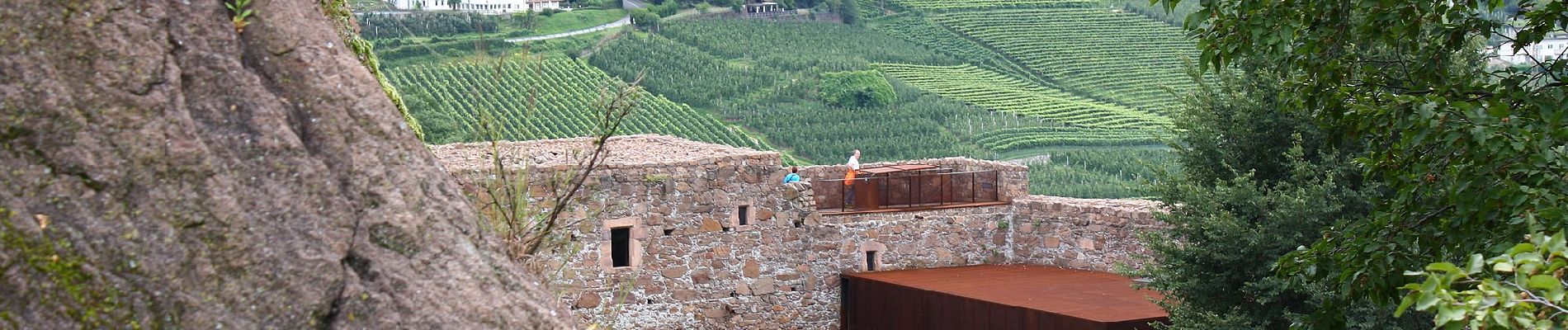 Excursión A pie Eppan an der Weinstraße - Appiano sulla Strada del Vino - IT-2 - Photo