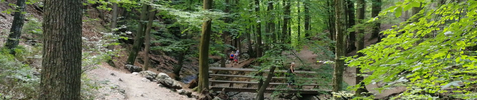 Excursión Senderismo Aywaille - Vallée du Ninglinspo à Nonceveux - Photo