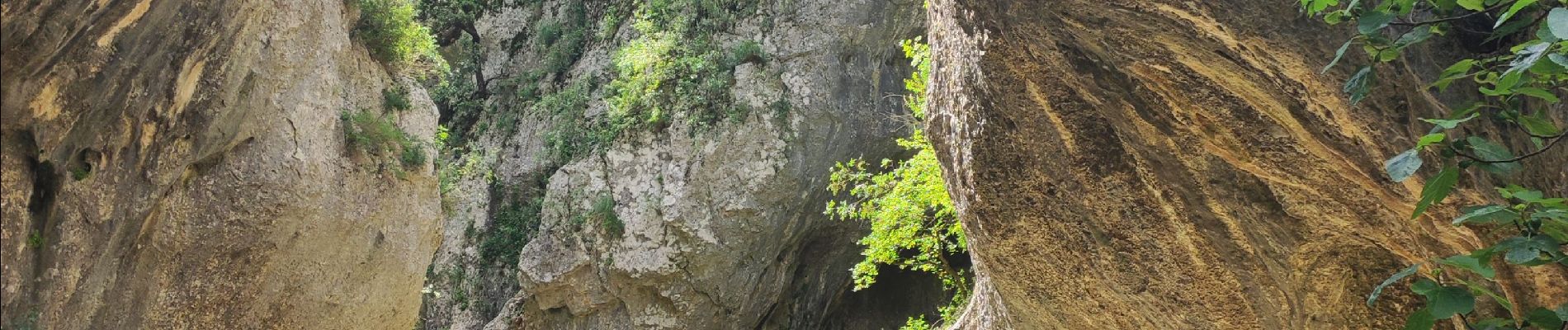Trail Walking Lussan - concluses départ lussan - Photo