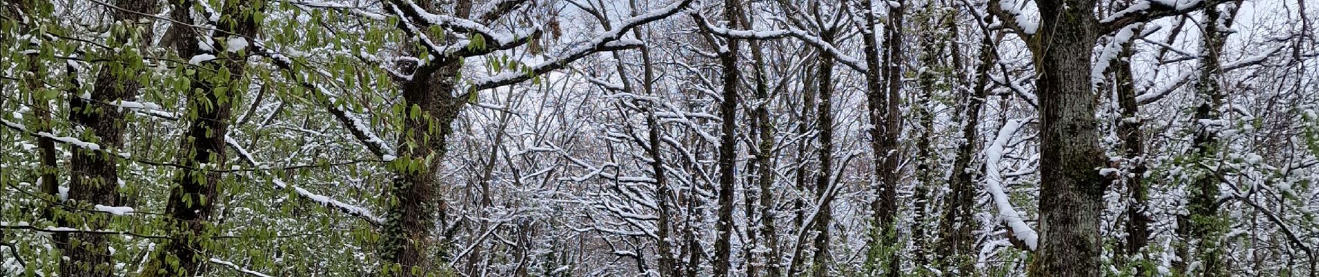 Trail Walking Reventin-Vaugris - marche de APF - Photo