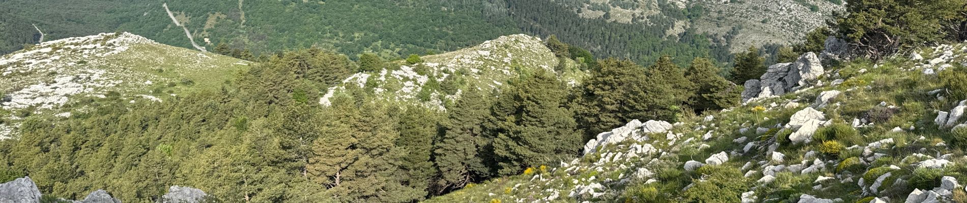 Excursión Senderismo Saint-Vallier-de-Thiey - St Vallier : Colle du  maçon doublier  - Photo