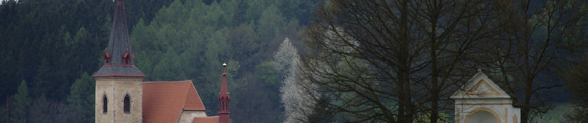 Excursión A pie Chvalšiny - NS Červený Dvůr - Photo