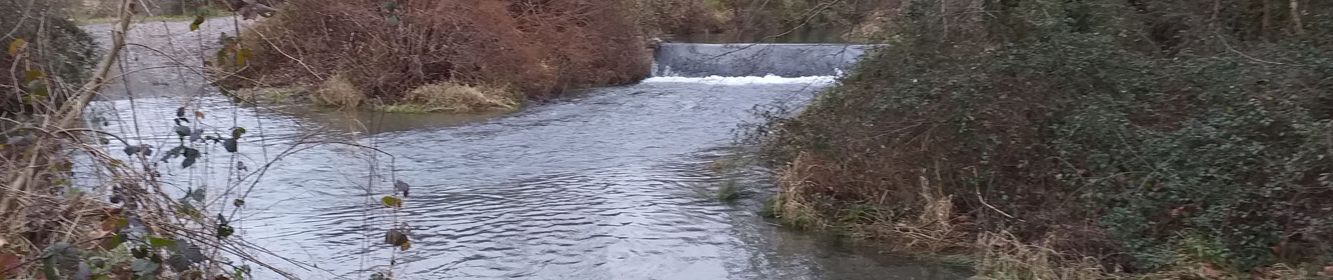 Tocht Stappen Boeil-Bezing - boeyRSFait - Photo