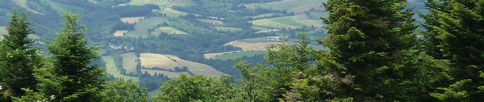 Excursión Bici de montaña Laprugne - Loge des Gardes, Eoliennes, Gué de la Chaux - Photo