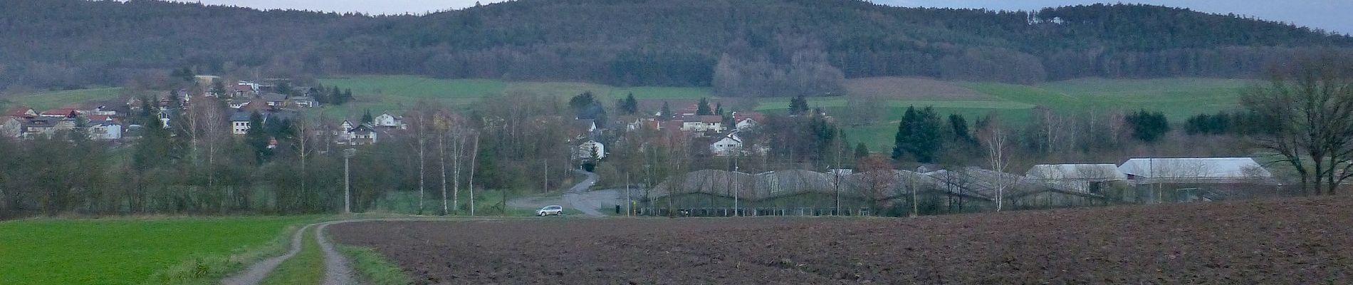 Tocht Te voet Grasellenbach - Rundwanderweg Wahlen 4: Rundwanderweg Wahlen - Photo