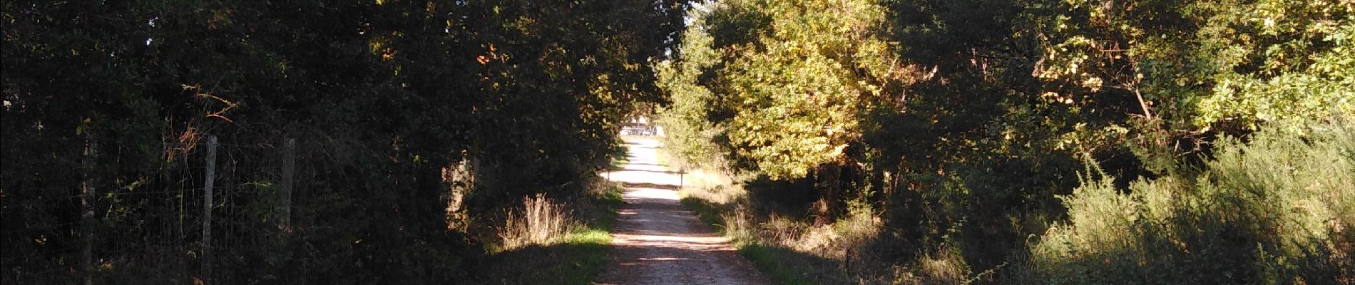 Tour Wandern Canéjan - lestonnat - Photo