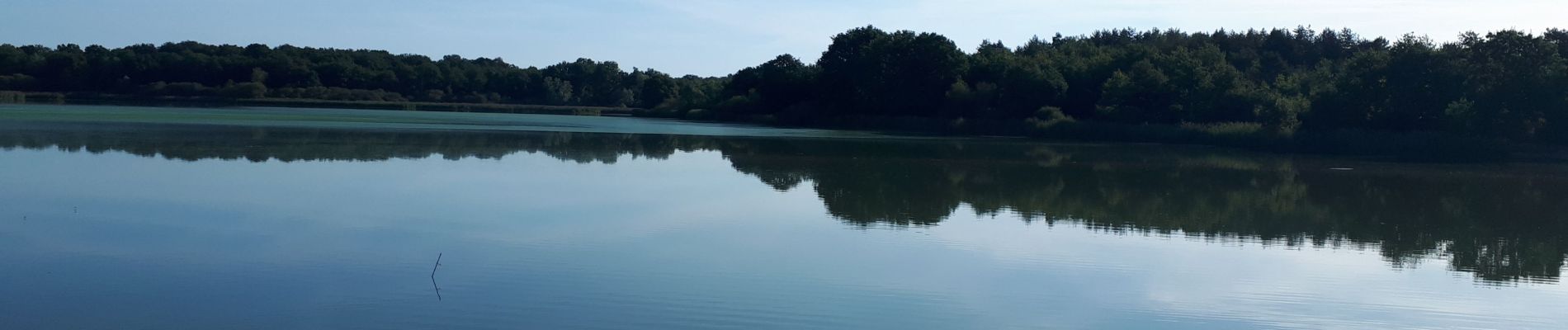 Trail Walking Lassay-sur-Croisne - lassay Dede 08/20 - Photo