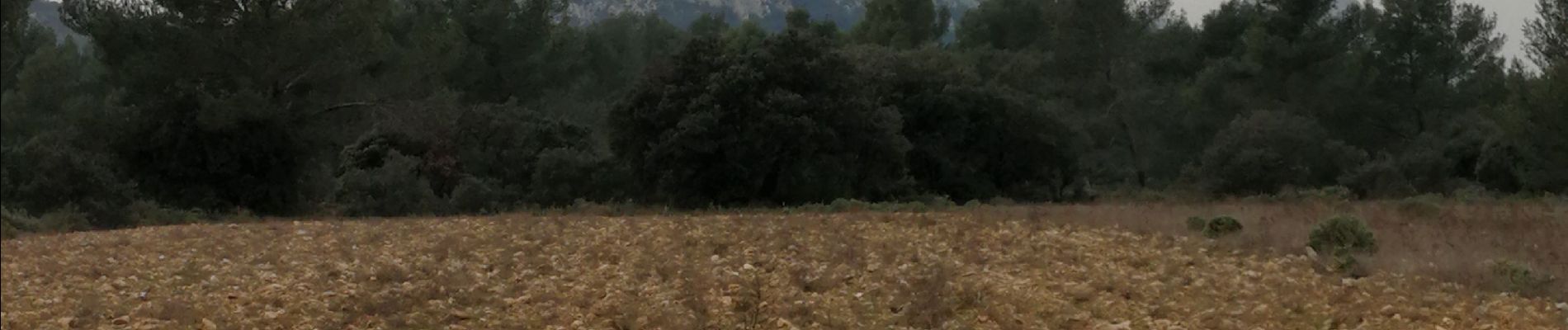 Randonnée Marche Eygalières - Les Alpilles au dessus d'Eygalieres - Photo