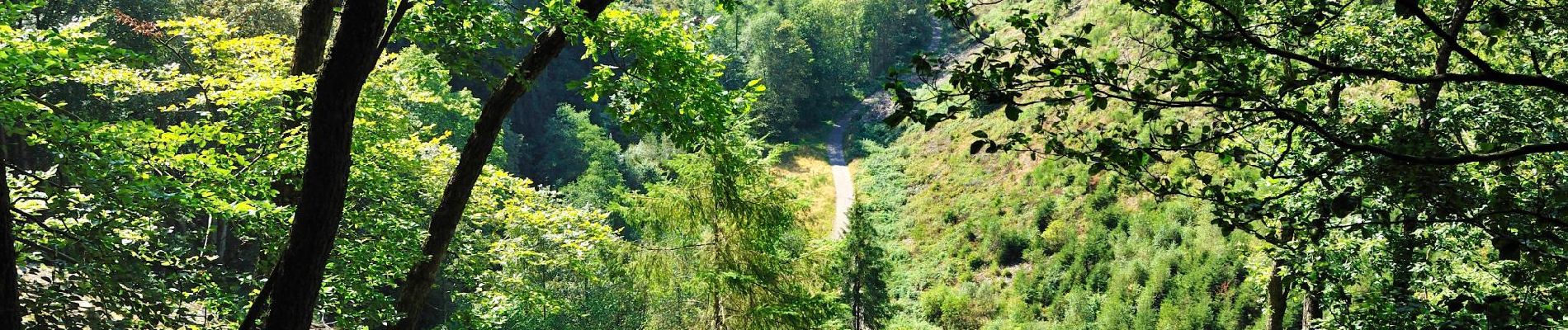 Trail Walking Malmedy - au départ de l'auberge vers Xhoffraix - Photo