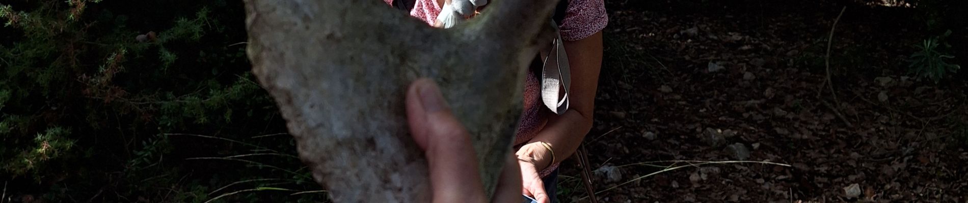 Excursión Senderismo Signes - le puits de chauvin - Photo