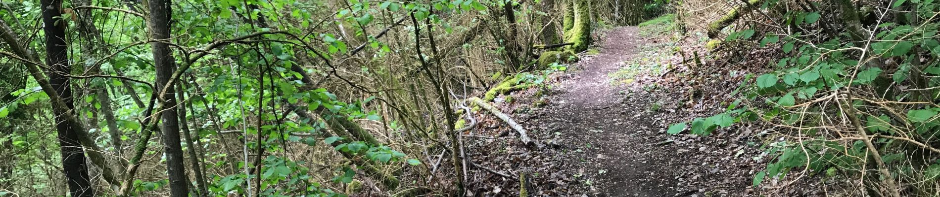 Tocht Stappen Varces-Allières-et-Risset - Chemin Chabloz retour - Photo