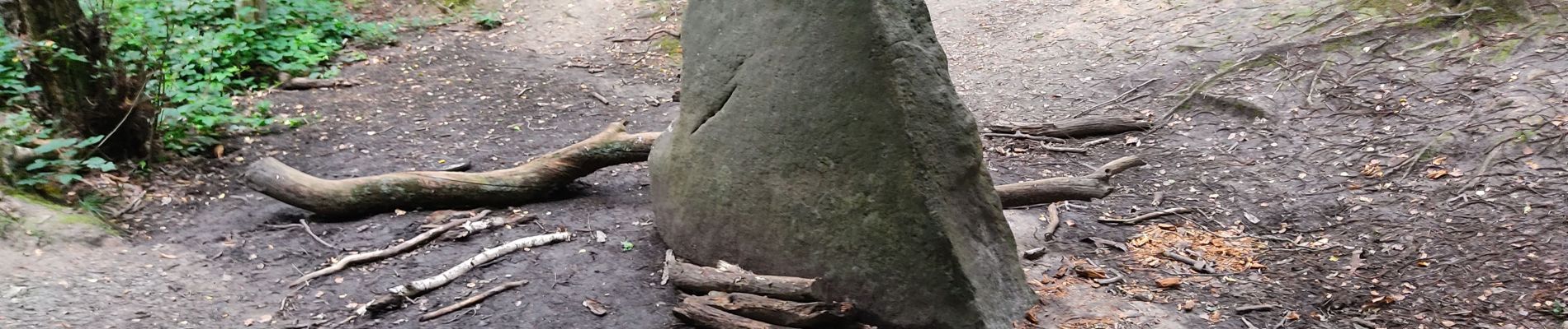 Tour Wandern Meudon - De Meudon à Igny via foret de Verrrières - Photo