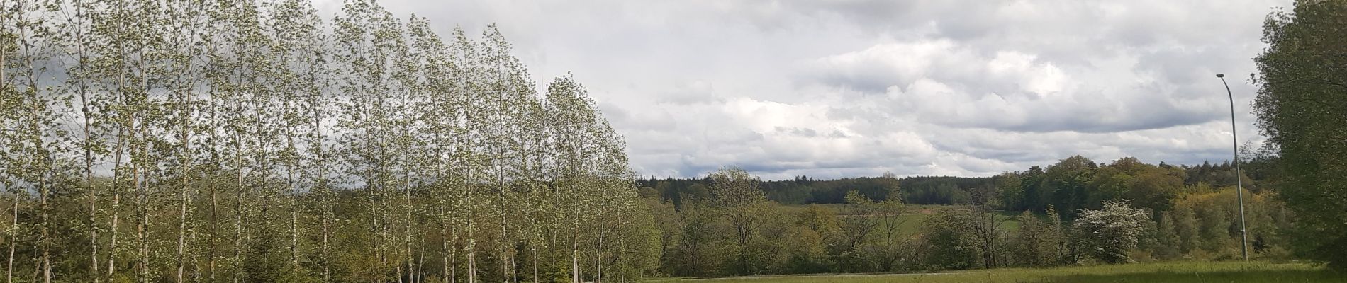 Randonnée Marche Sprimont - autour du domaine des bruyères  - Photo