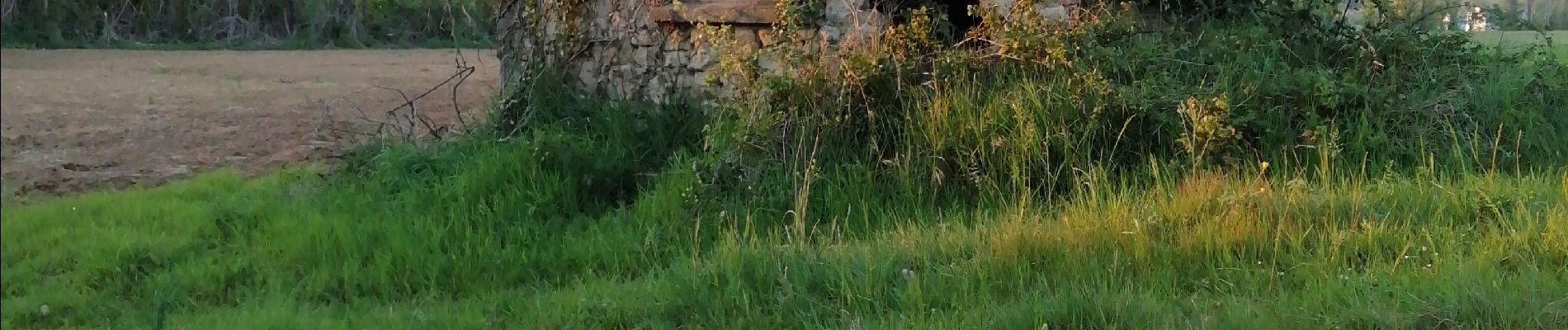 Tour Wandern Loriol-sur-Drôme - Château de la Gardette  - Photo